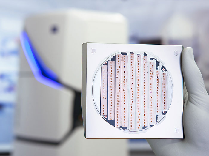 多束掃描電子顯微鏡 多束掃描電子顯微鏡